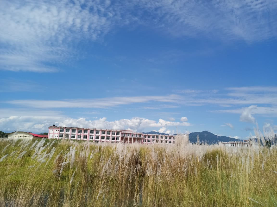 Dhemaji Engineering College